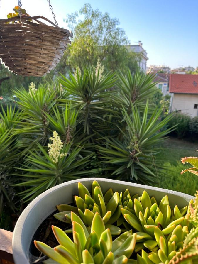 Location De Chambre Privee Dans Residence Securisee Privee,Parking Gratuit , 1 Minute Du Tramway, A 9 Minute Du Centre Ville, Accessible A Plusieurs Transports Niza Exterior foto